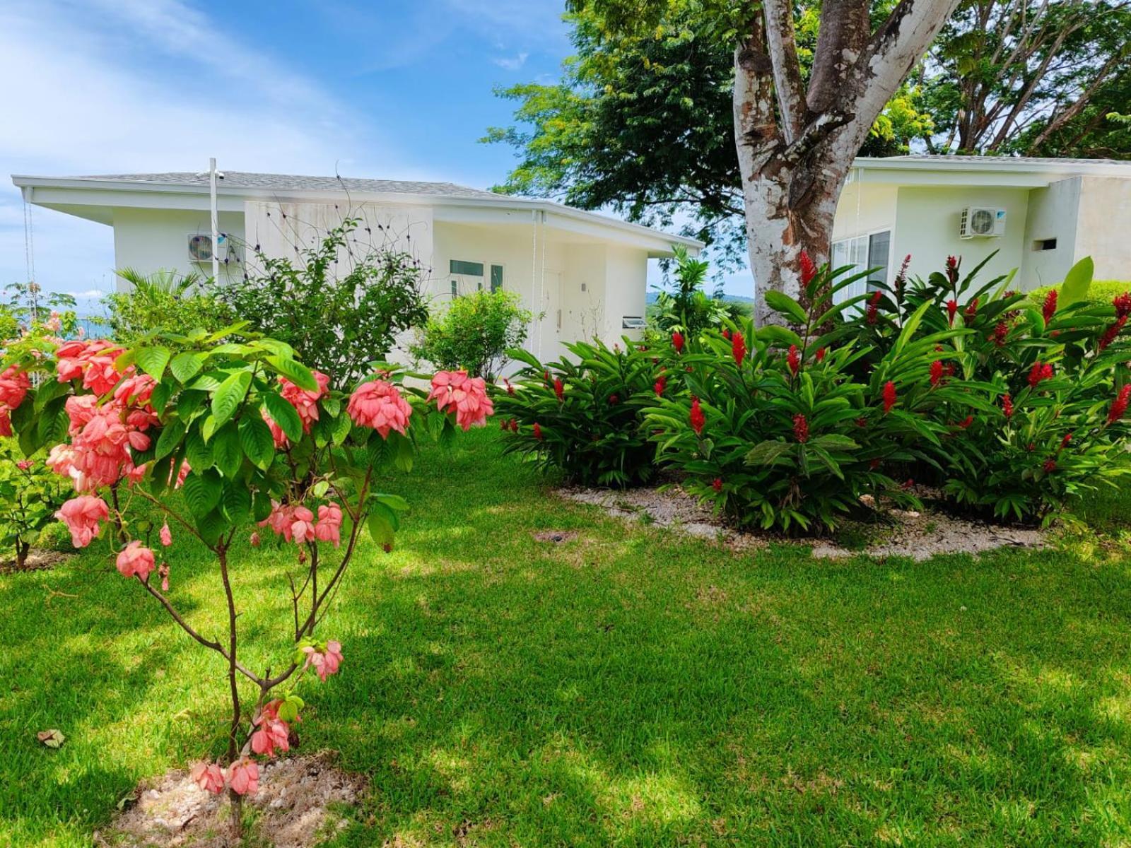 Adeluna Luxury Villas モンテスマ エクステリア 写真